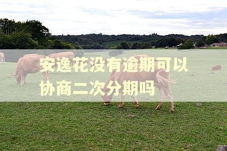 安逸花没有逾期可以协商二次分期吗