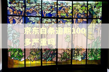 京东白条逾期100多严重吗