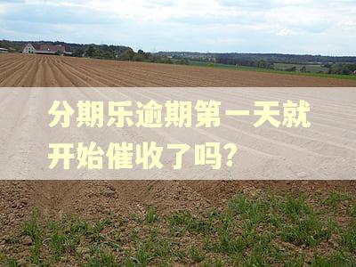 分期乐逾期第一天就开始催收了吗?
