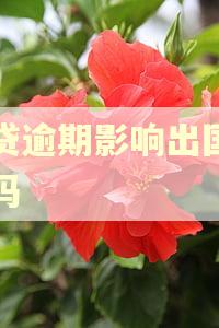 网贷逾期影响出国签证吗