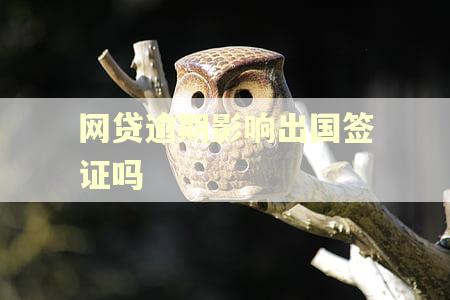 网贷逾期影响出国签证吗