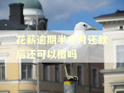 花薪逾期半个月还款后还可以借吗