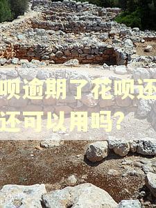 借呗逾期了花呗还进去还可以用吗?
