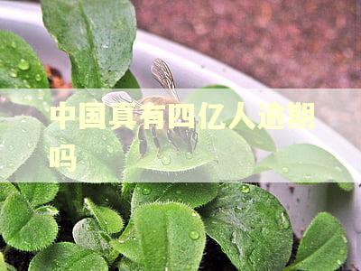 中国真有四亿人逾期吗