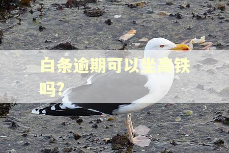 白条逾期可以坐高铁吗?