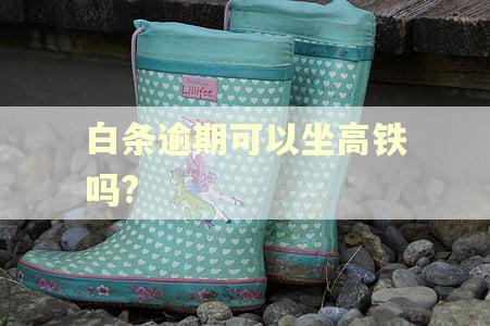 白条逾期可以坐高铁吗?