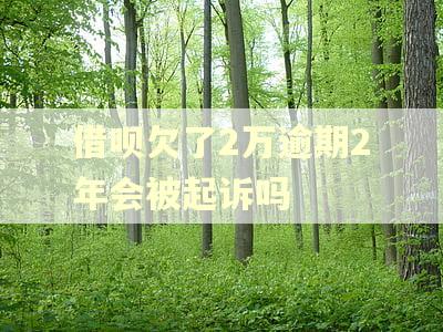 借呗欠了2万逾期2年会被起诉吗