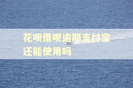 花呗借呗逾期支付宝还能使用吗