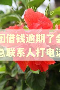 美团借钱逾期了会给紧急联系人打电话吗 美团借钱逾期了会给紧急联系人打电话吗