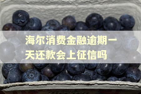 海尔消费金融逾期一天还款会上征信吗
