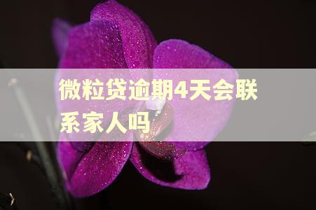 微粒贷逾期4天会联系家人吗