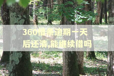 360借条逾期一天后还清,能继续借吗