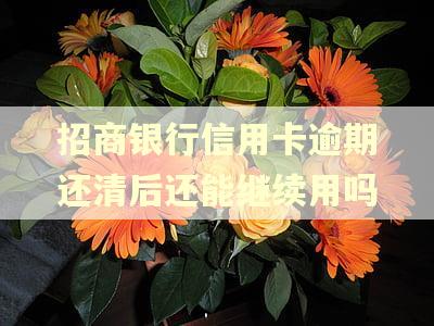 招商银行信用卡逾期还清后还能继续用吗 招商银行信用卡逾期还清后还能继续用吗