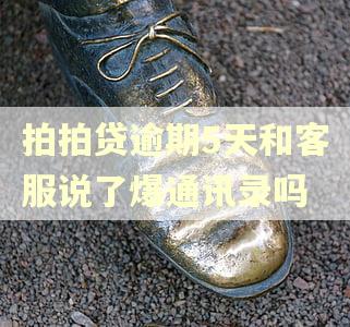 拍拍贷逾期5天和客服说了爆通讯录吗