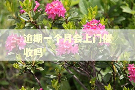 逾期一个月会上门催收吗