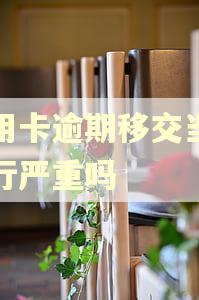 信用卡逾期移交当地分行严重吗