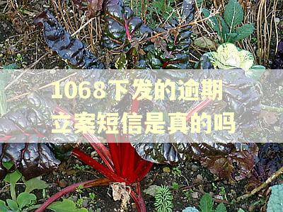 1068下发的逾期立案短信是真的吗