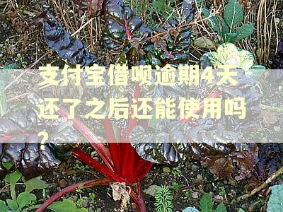 支付宝借呗逾期4天还了之后还能使用吗?