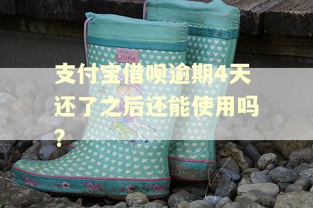 支付宝借呗逾期4天还了之后还能使用吗?