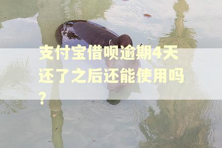支付宝借呗逾期4天还了之后还能使用吗?