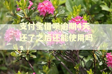 支付宝借呗逾期4天还了之后还能使用吗? 支付宝借呗逾期4天还了之后还能使用吗?