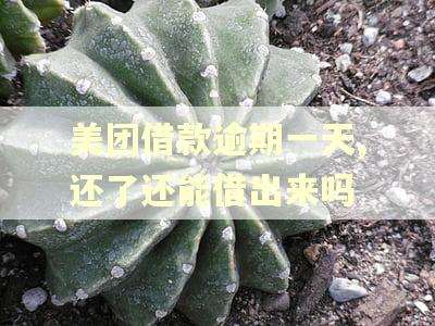 美团借款逾期一天,还了还能借出来吗