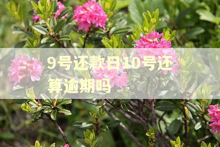9号还款日10号还算逾期吗