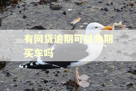 有网贷逾期可以分期买车吗