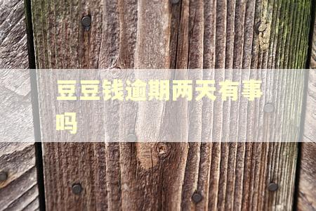 豆豆钱逾期两天有事吗