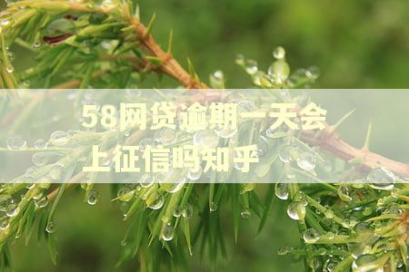 58网贷逾期一天会上征信吗知乎