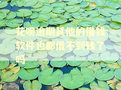 花呗逾期其他的借钱软件也都借不到钱了吗