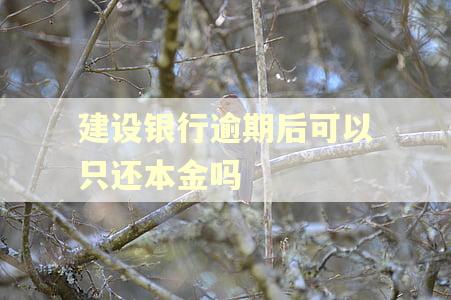 建设银行逾期后可以只还本金吗 建设银行逾期后可以只还本金吗