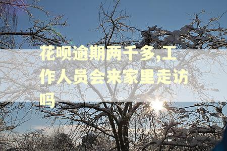 花呗逾期两千多,工作人员会来家里走访吗