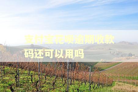 支付宝花呗逾期收款码还可以用吗 支付宝花呗逾期收款码还可以用吗