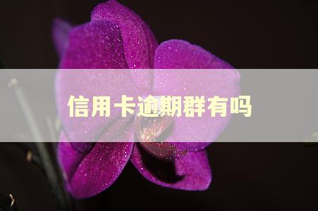 信用卡逾期群有吗 信用卡逾期群有吗