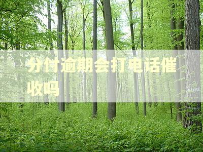 分付逾期会打电话催收吗
