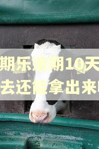 分期乐逾期10天还进去还能拿出来吗 分期乐逾期10天还进去还能拿出来吗
