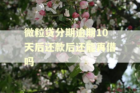 微粒贷分期逾期10天后还款后还能再借吗