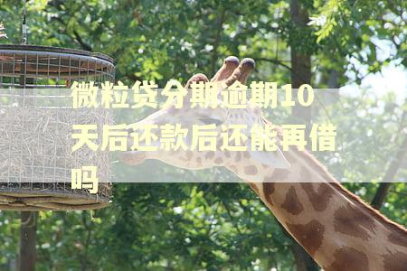 微粒贷分期逾期10天后还款后还能再借吗