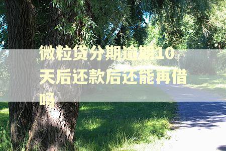 微粒贷分期逾期10天后还款后还能再借吗 微粒贷分期逾期10天后还款后还能再借吗