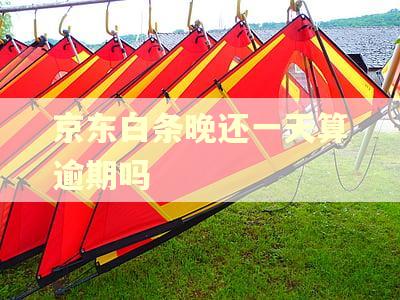 京东白条晚还一天算逾期吗