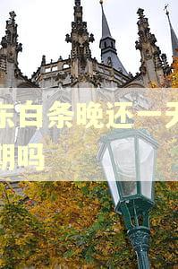 京东白条晚还一天算逾期吗