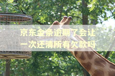 京东金条逾期了会让一次还清所有欠款吗