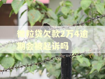 微粒贷欠款2万4逾期会被起诉吗
