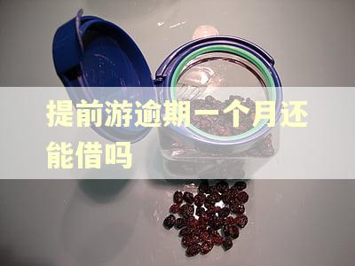 提前游逾期一个月还能借吗
