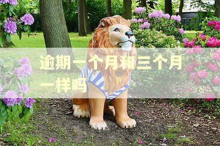 逾期一个月和三个月一样吗