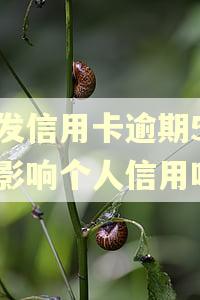 浦发信用卡逾期5天会影响个人信用吗