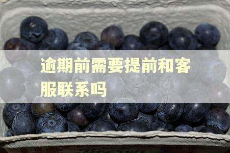逾期前需要提前和客服联系吗