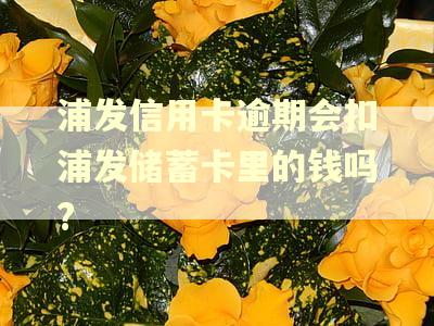 浦发信用卡逾期会扣浦发储蓄卡里的钱吗?