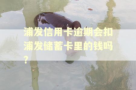浦发信用卡逾期会扣浦发储蓄卡里的钱吗?